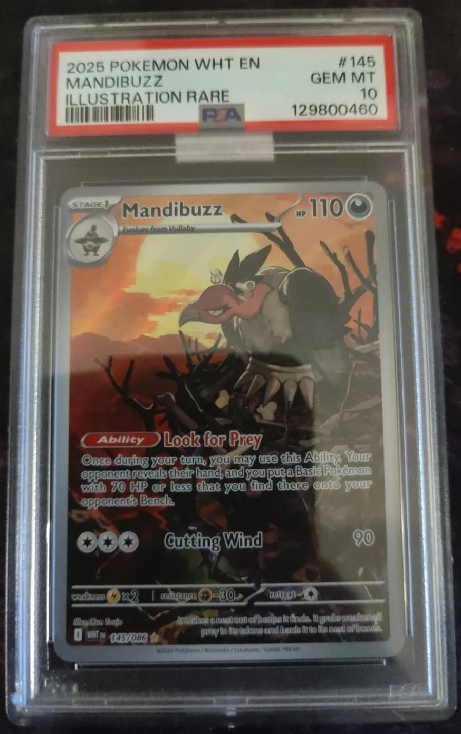 Mandibuzz