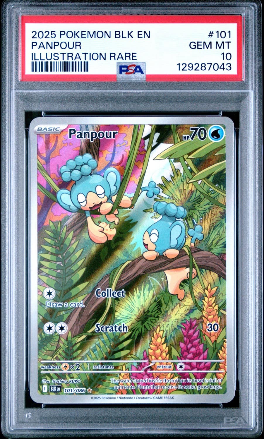 Panpour