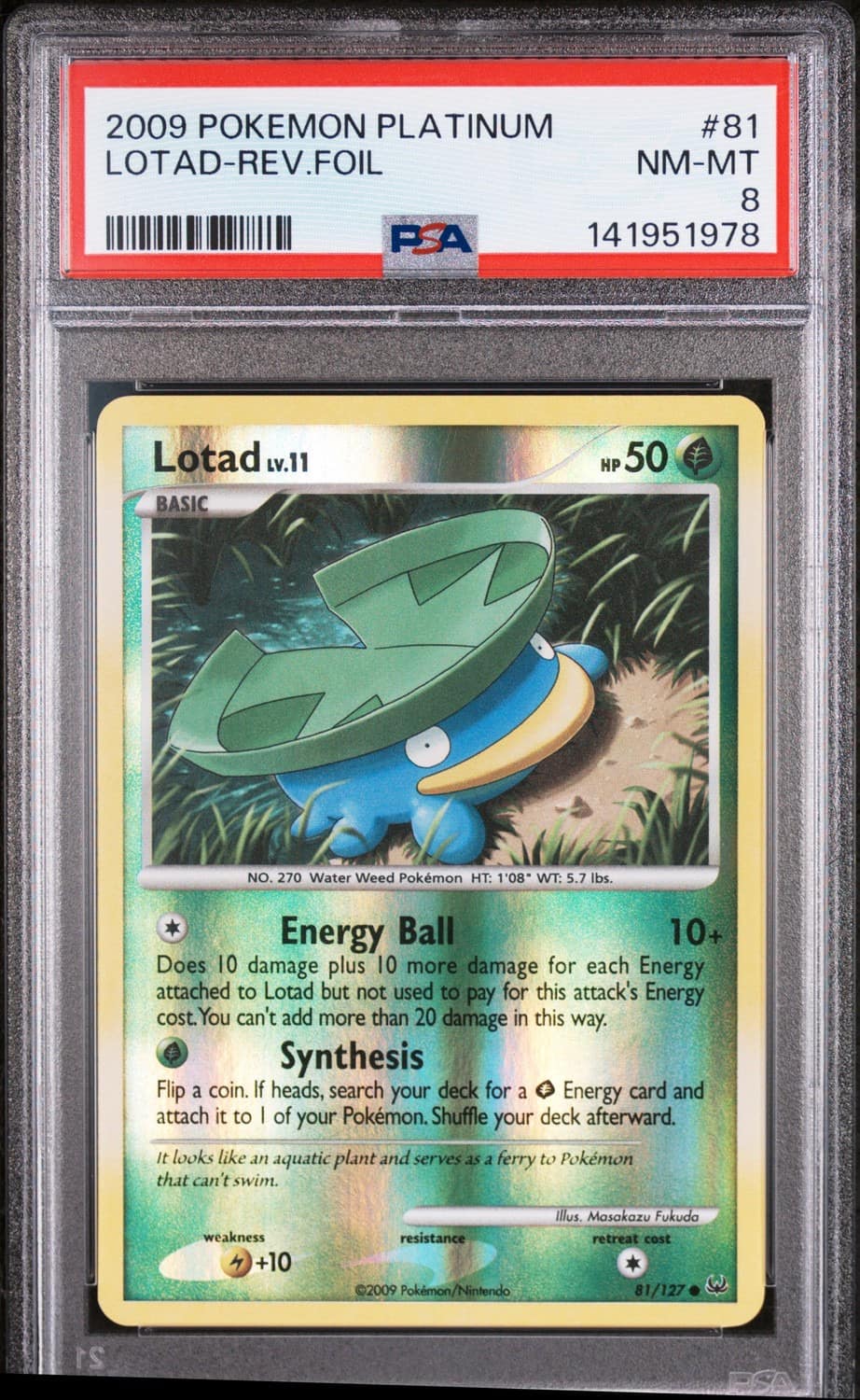 Lotad