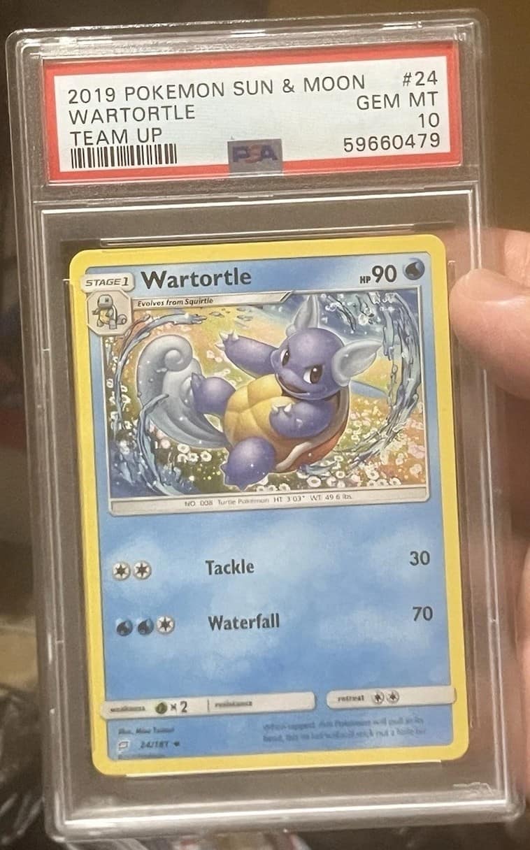 Wartortle