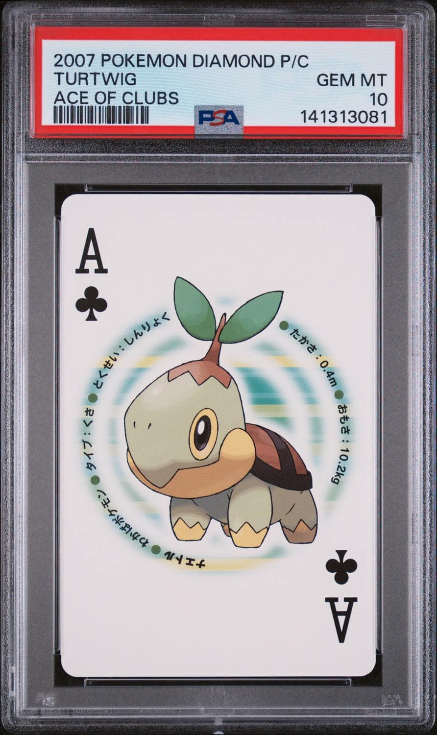 Turtwig