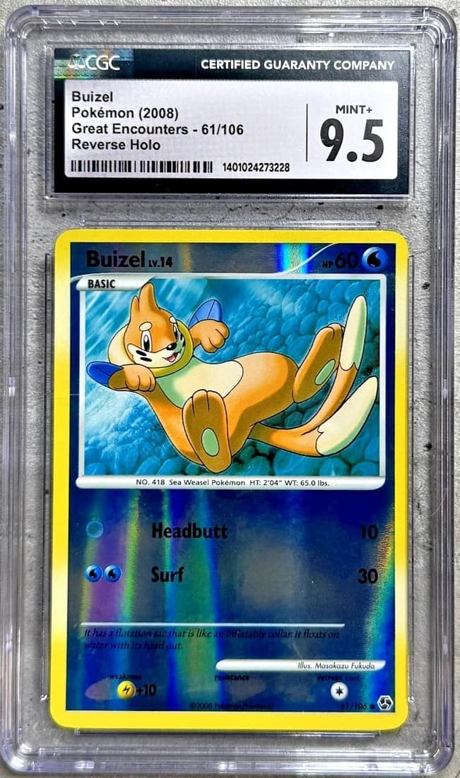Buizel