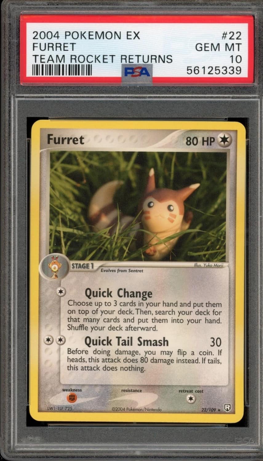 Furret