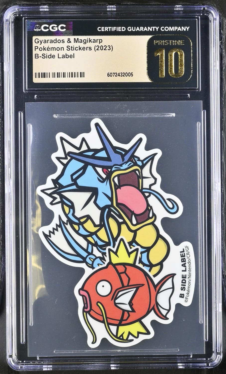Gyarados & Magikarp