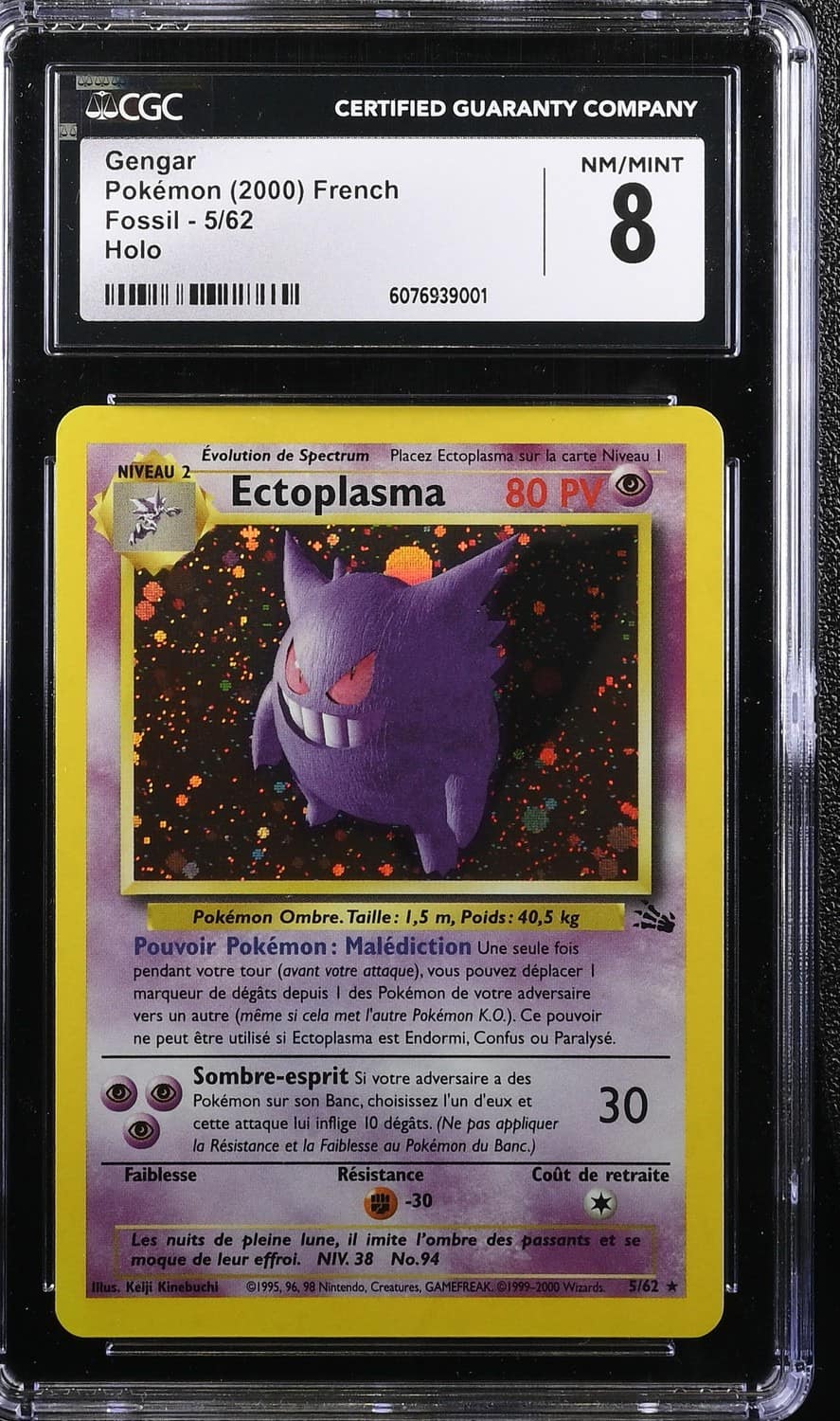 Ectoplasma