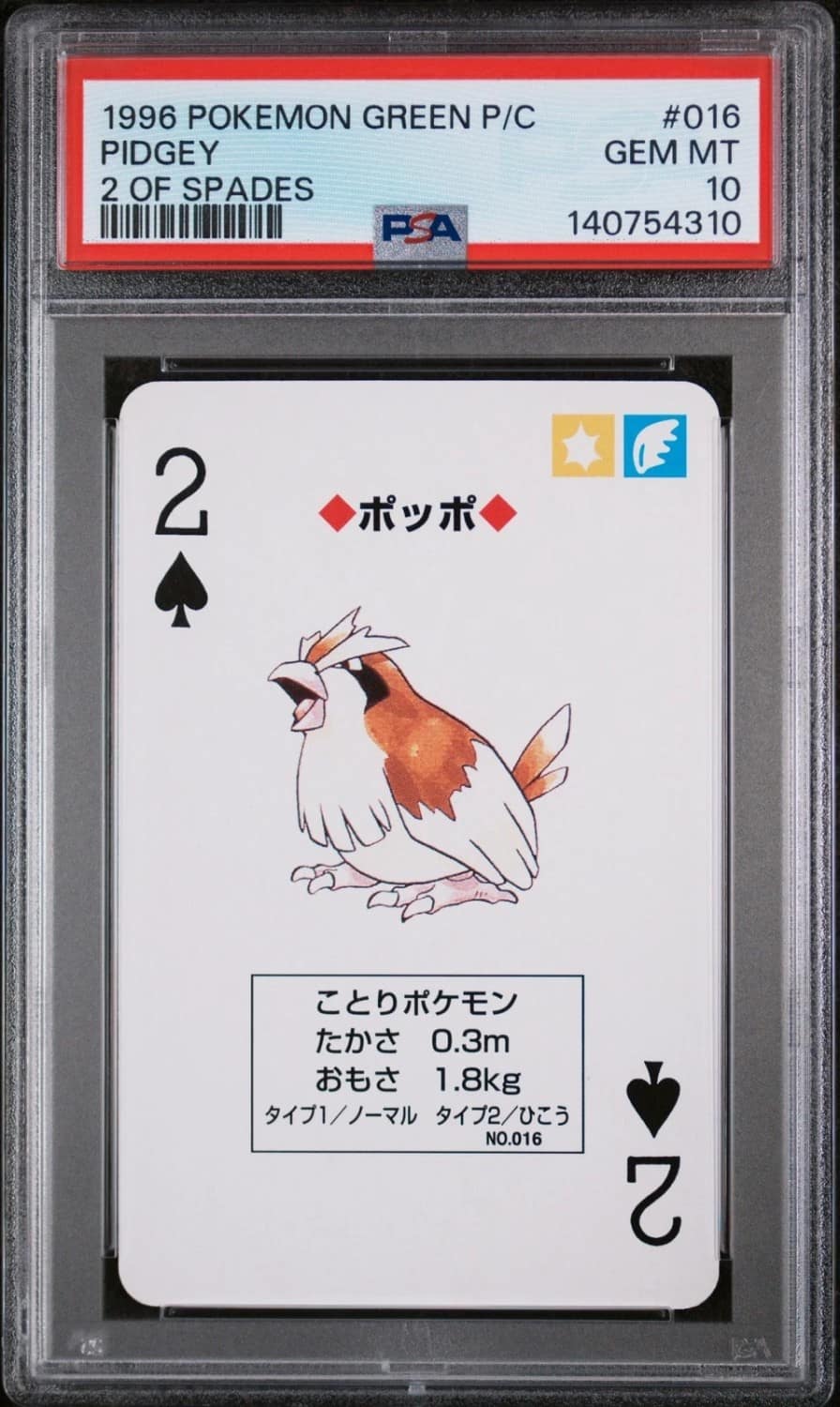 Pidgey
