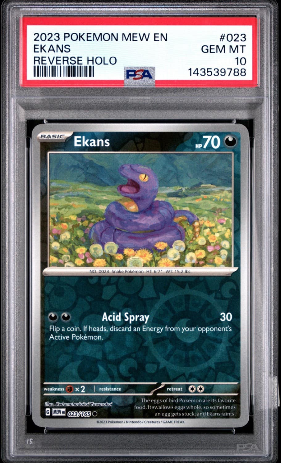 Ekans