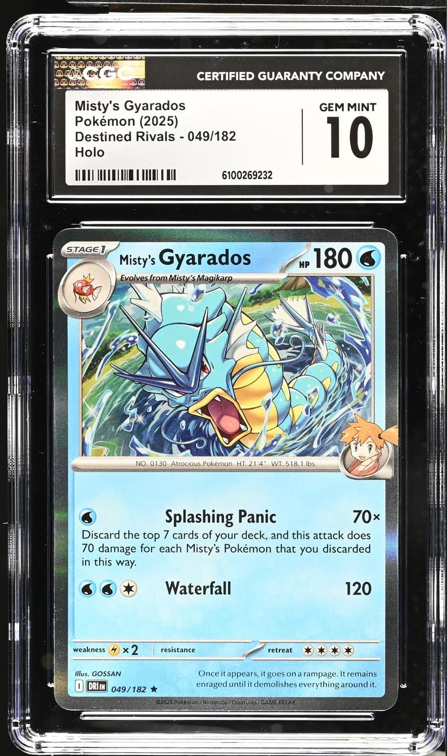 Misty'S Gyarados