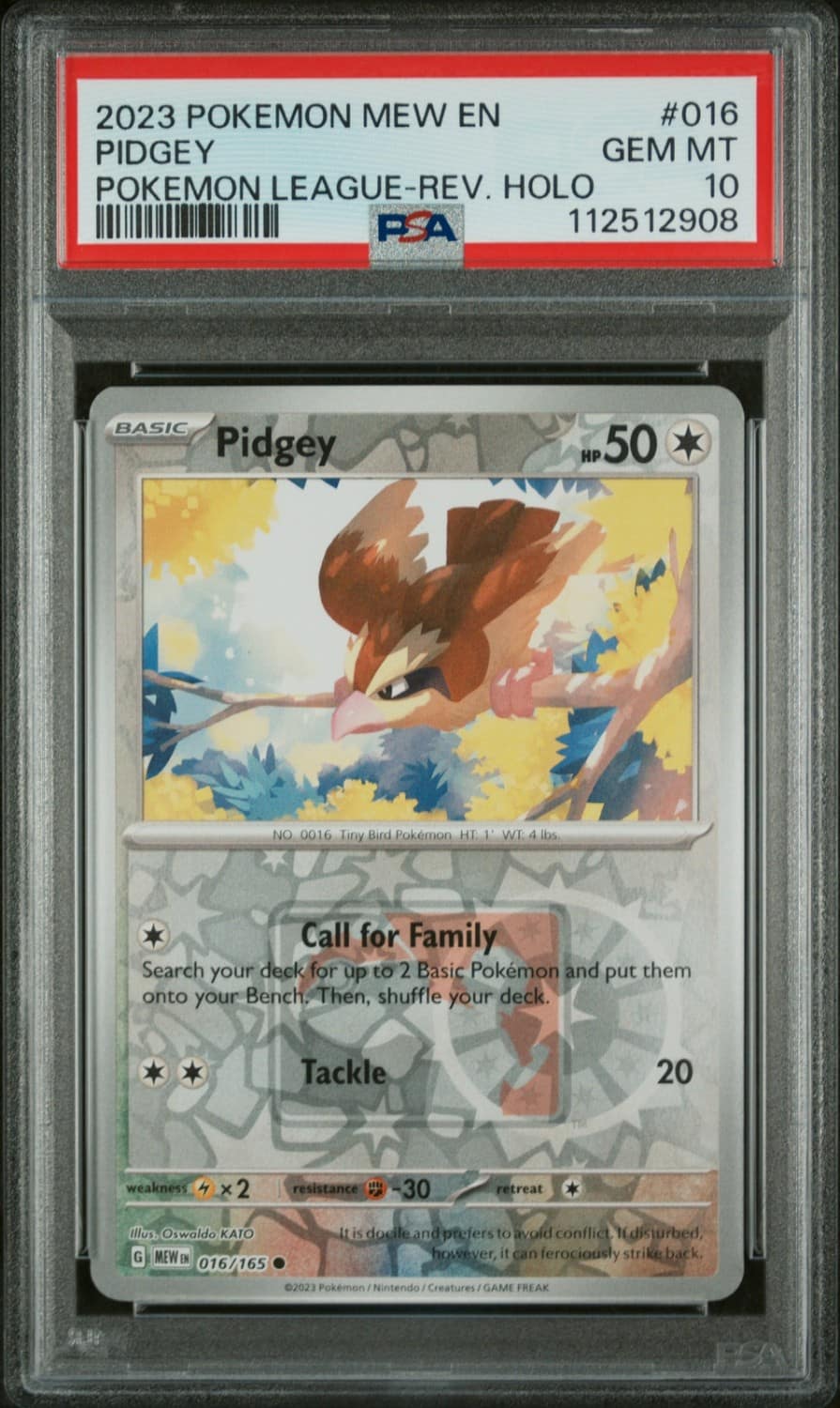 Pidgey