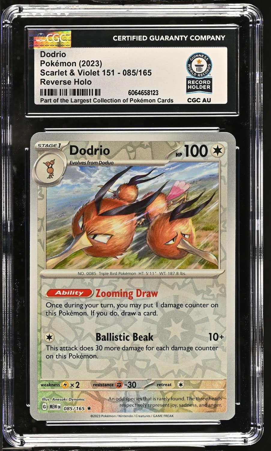 Dodrio