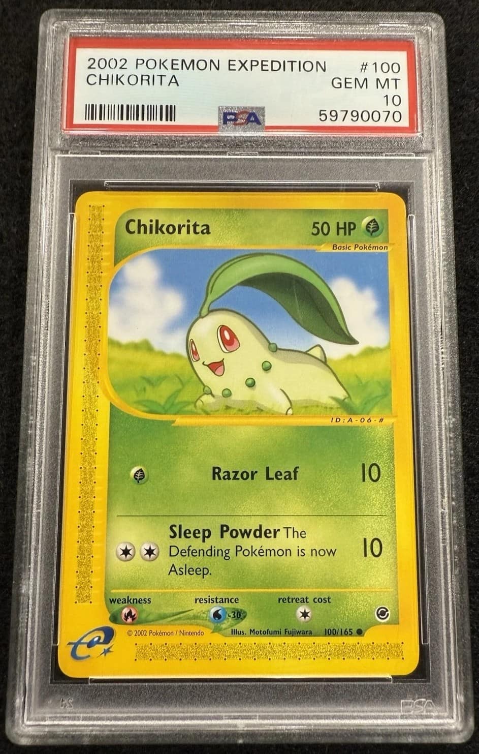 Chikorita