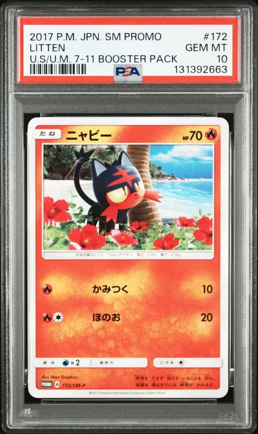 Litten