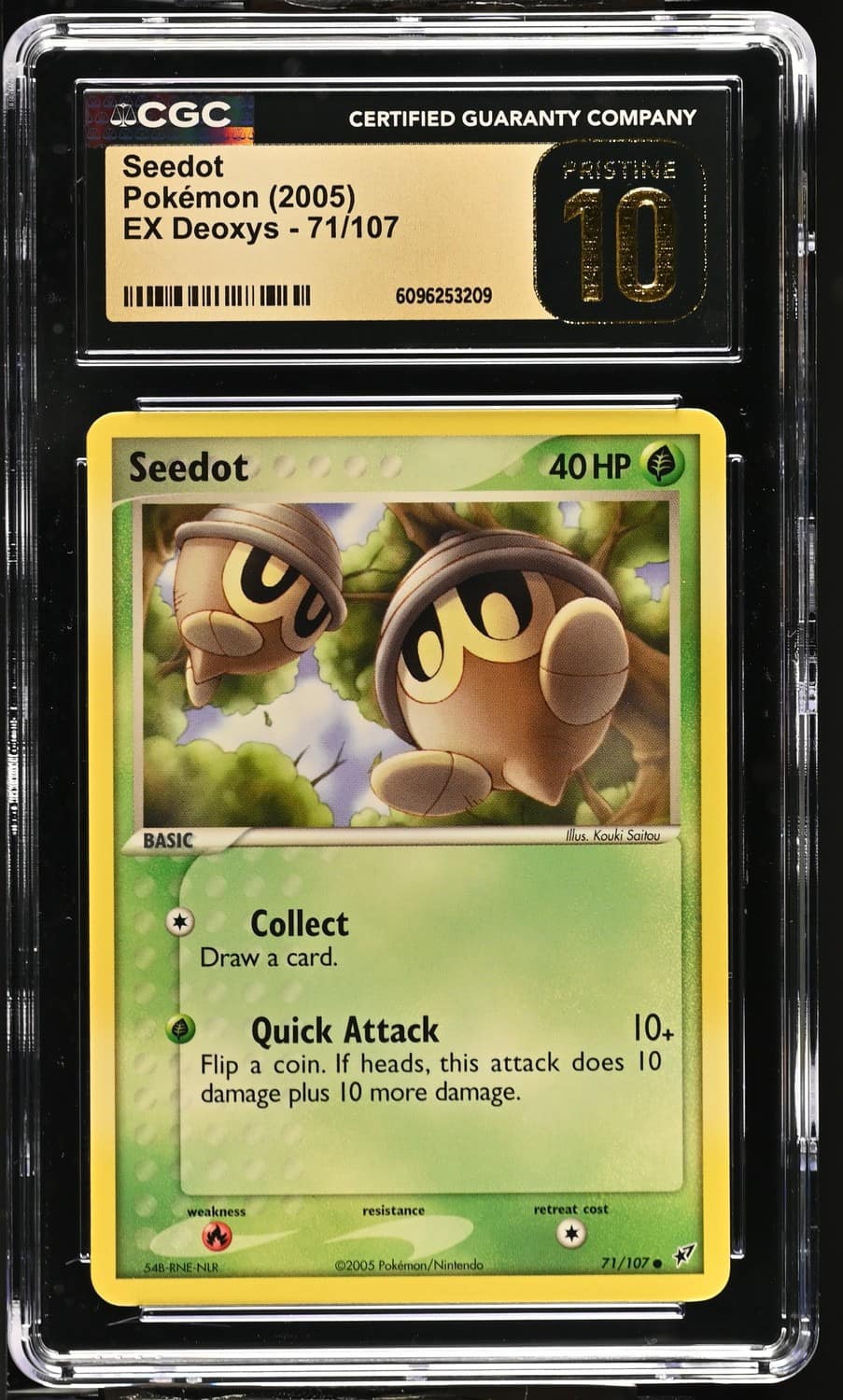 Seedot