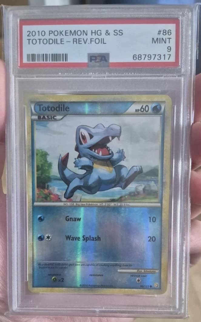 Totodile