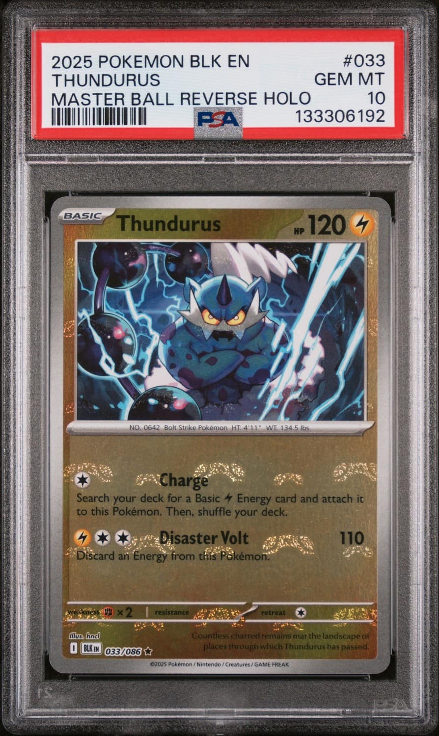 Thundurus