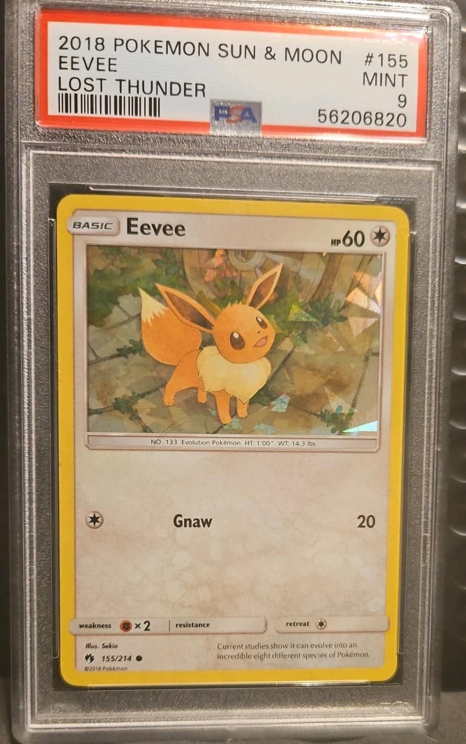 Eevee
