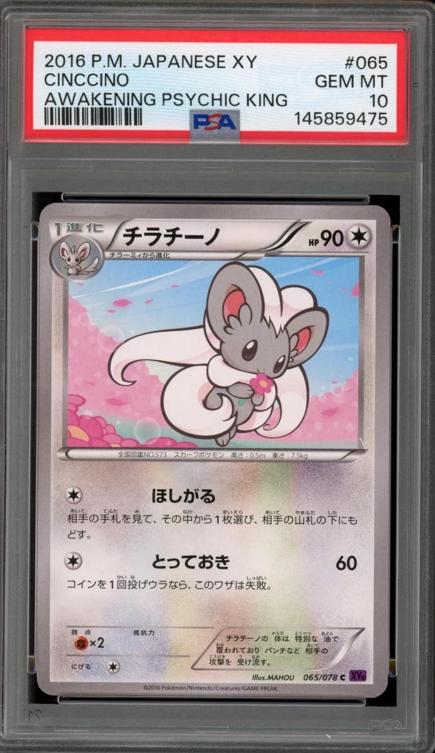 Cinccino