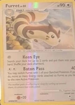 Furret