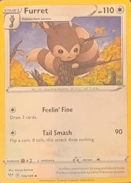 Furret