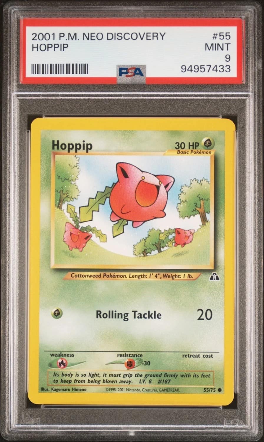 Hoppip
