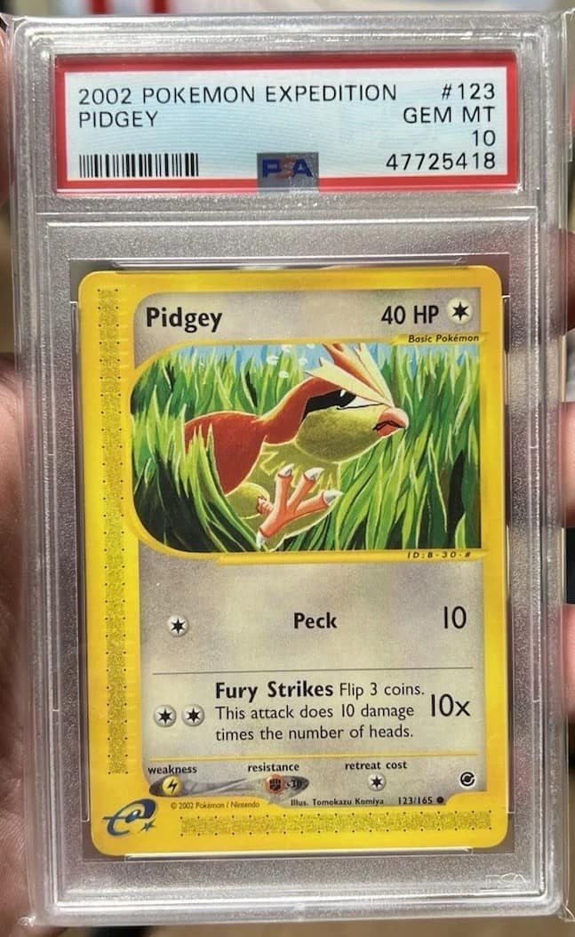 Pidgey