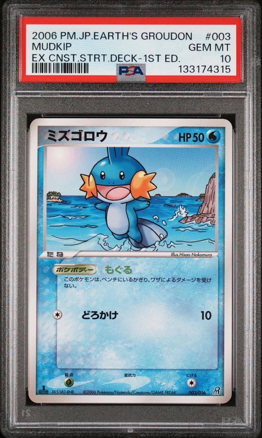 Mudkip