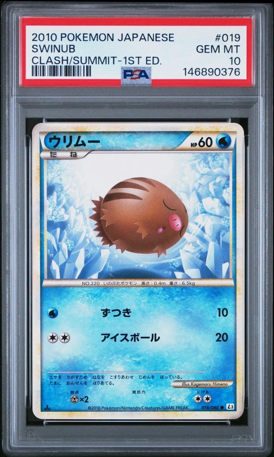 Swinub