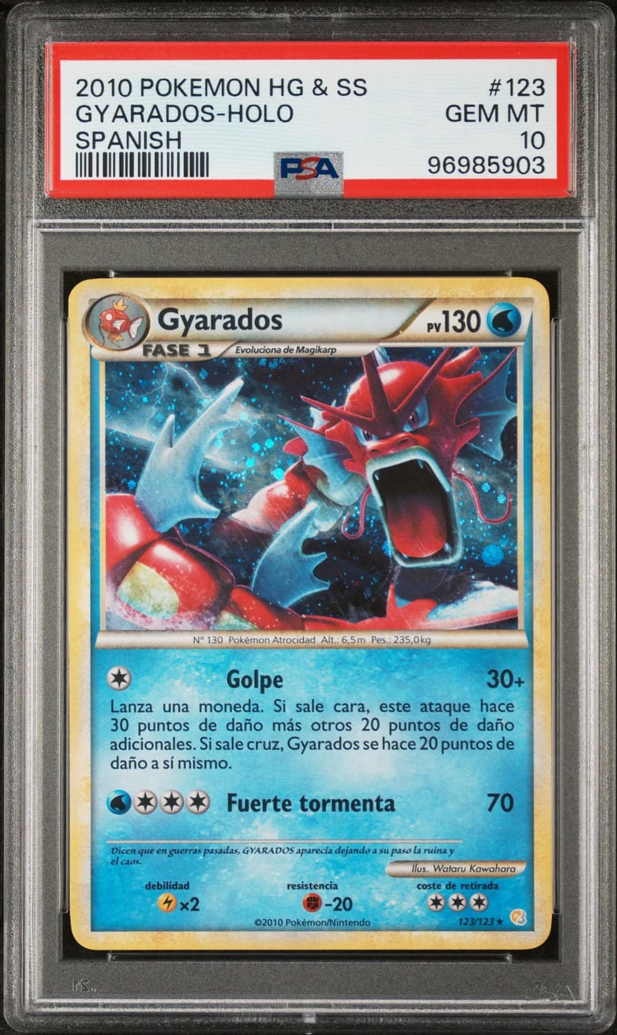 Gyarados