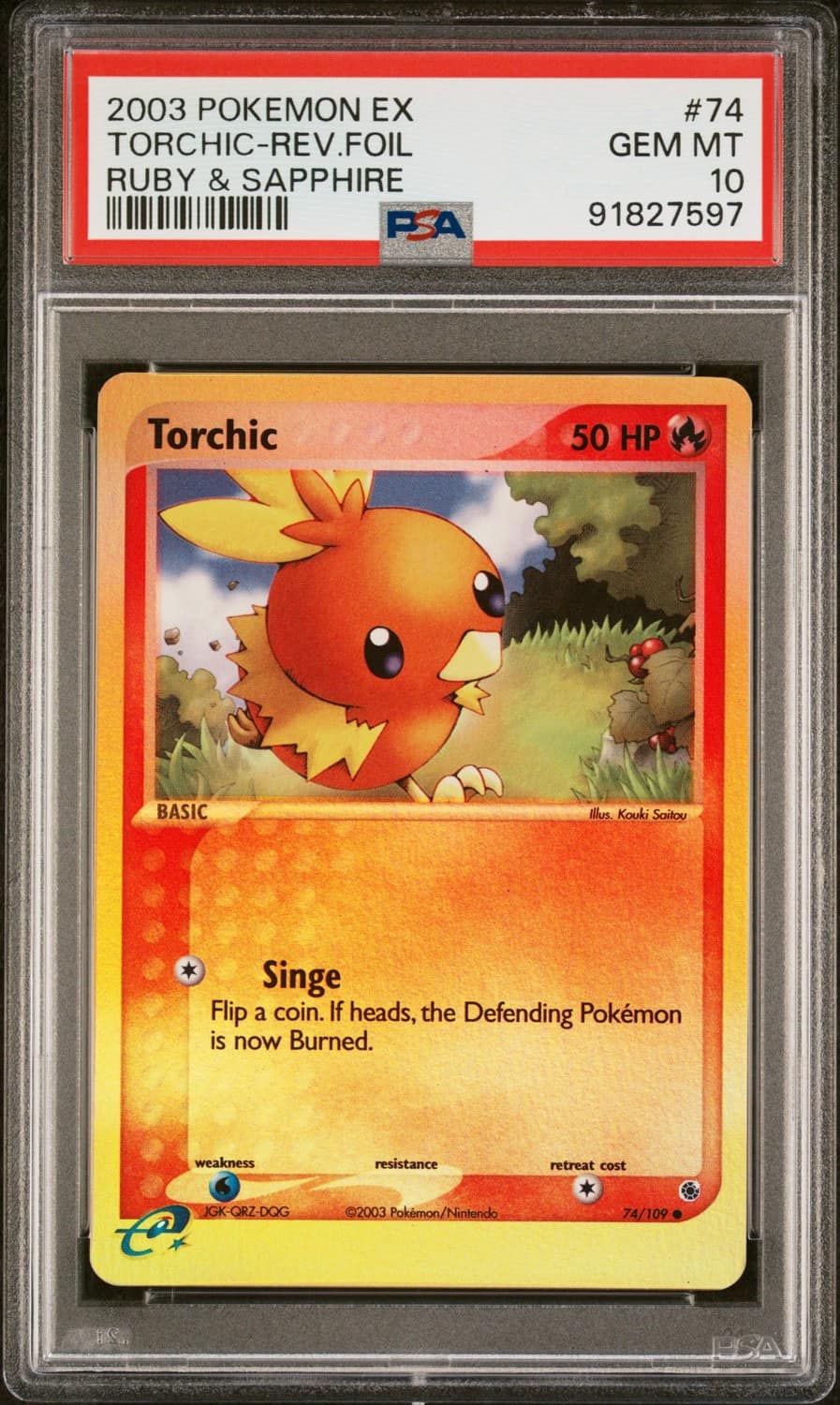 Torchic