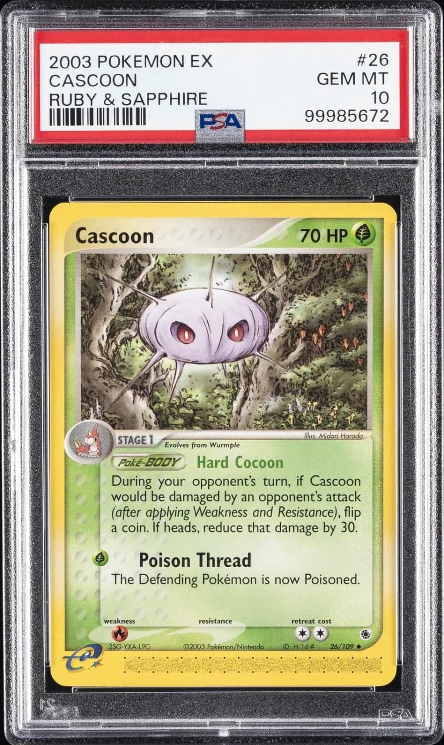 Cascoon