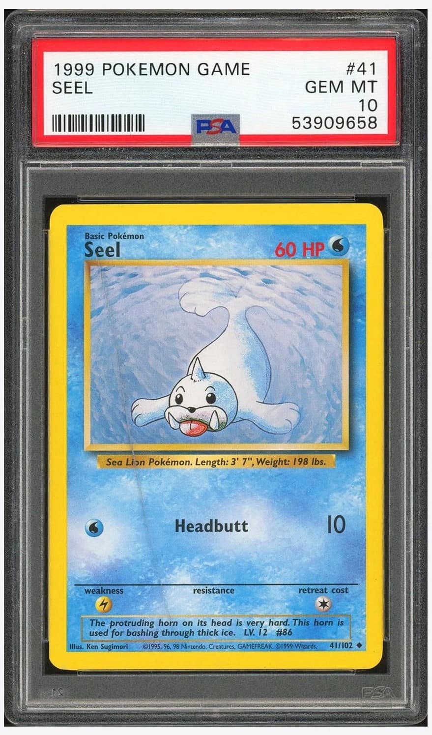Seel