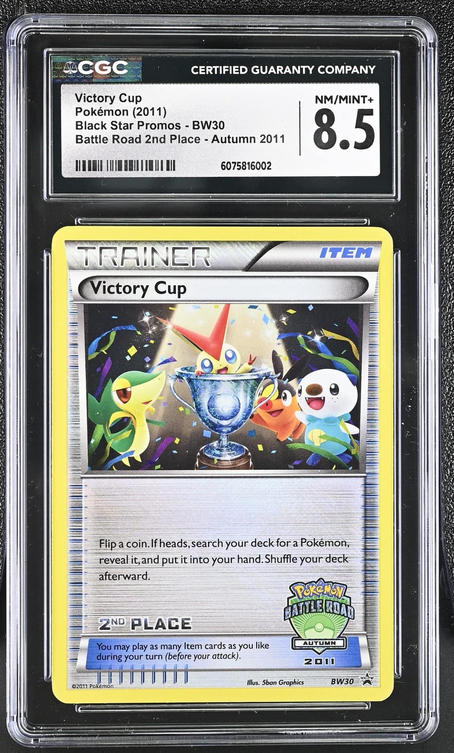 Victory Cup