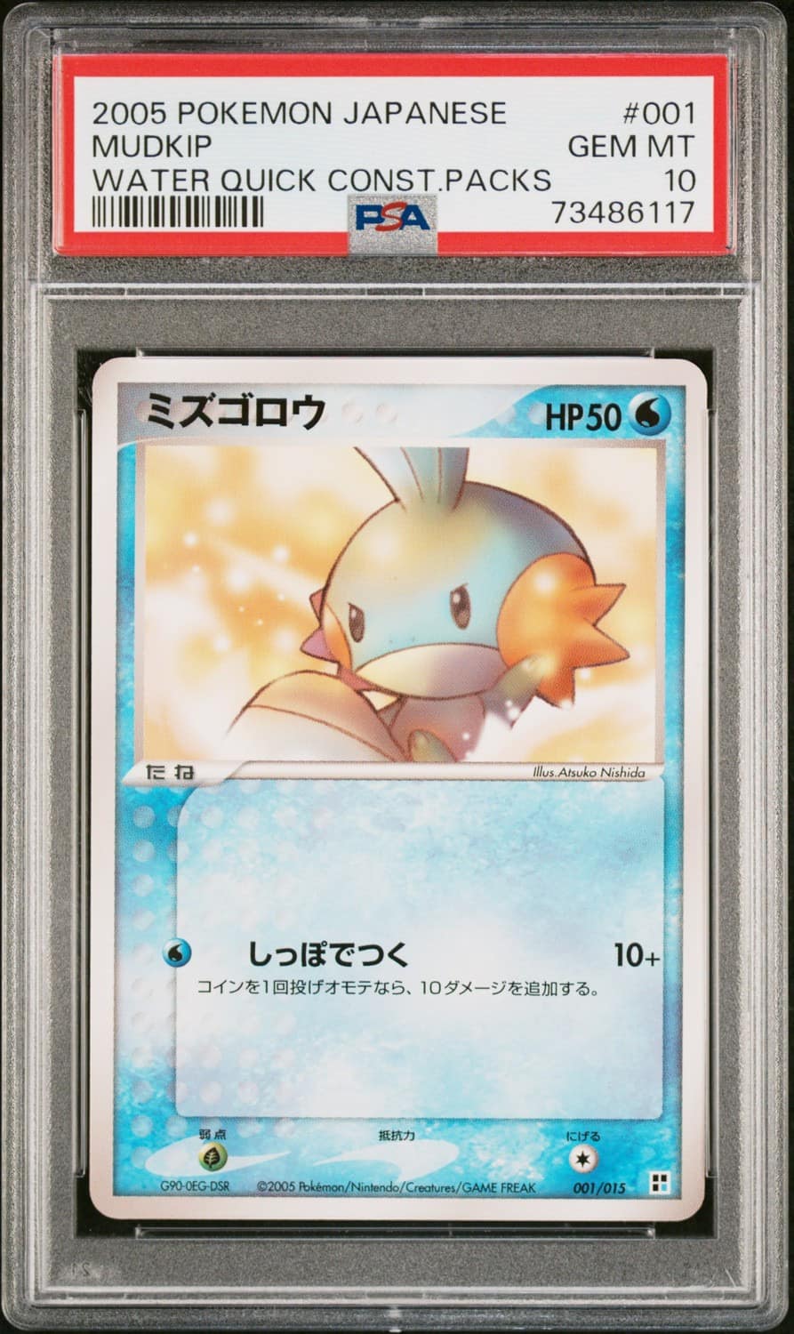 Mudkip