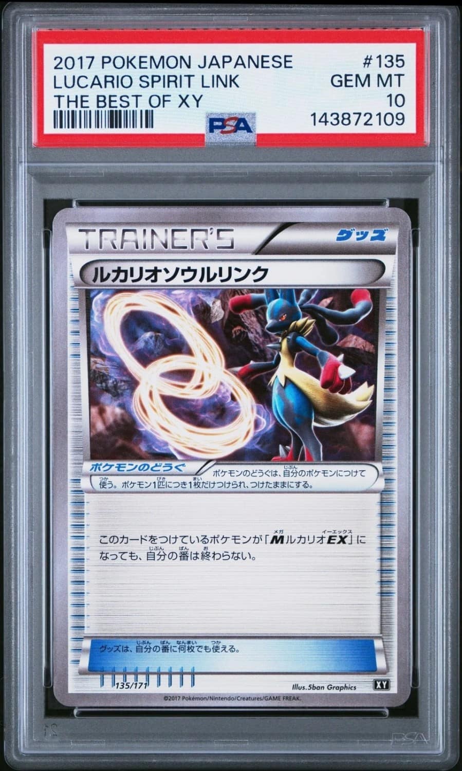 Lucario Spirit Link