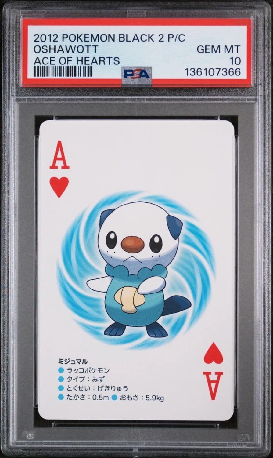 Oshawott