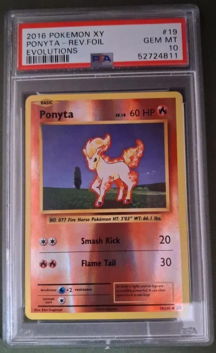 Ponyta