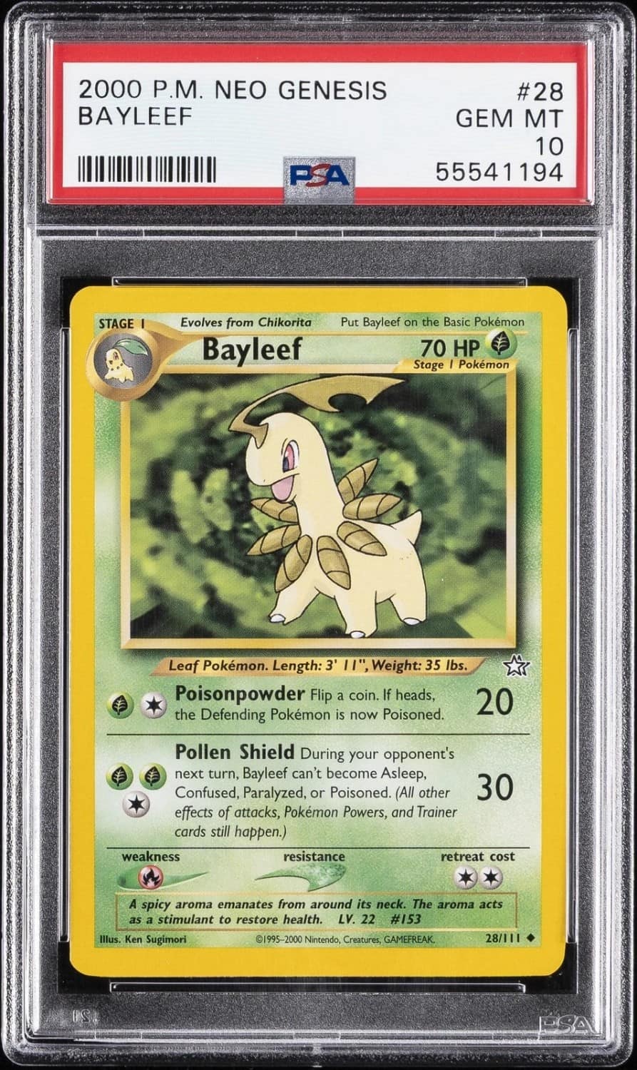 Bayleef