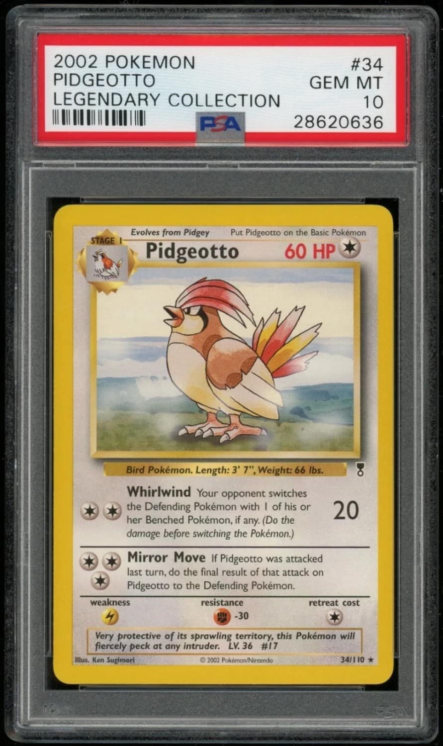 Pidgeotto