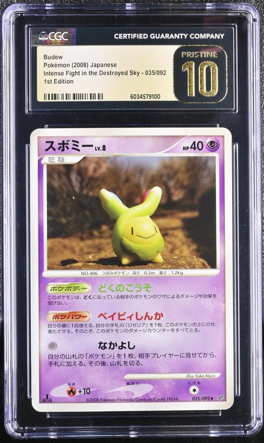 Budew