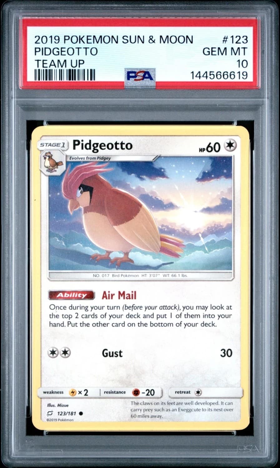 Pidgeotto