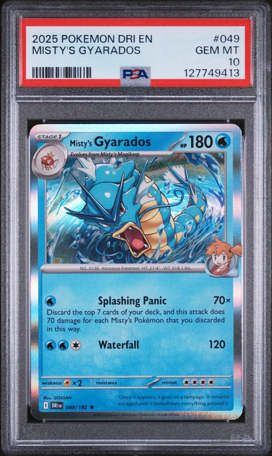 Misty'S Gyarados
