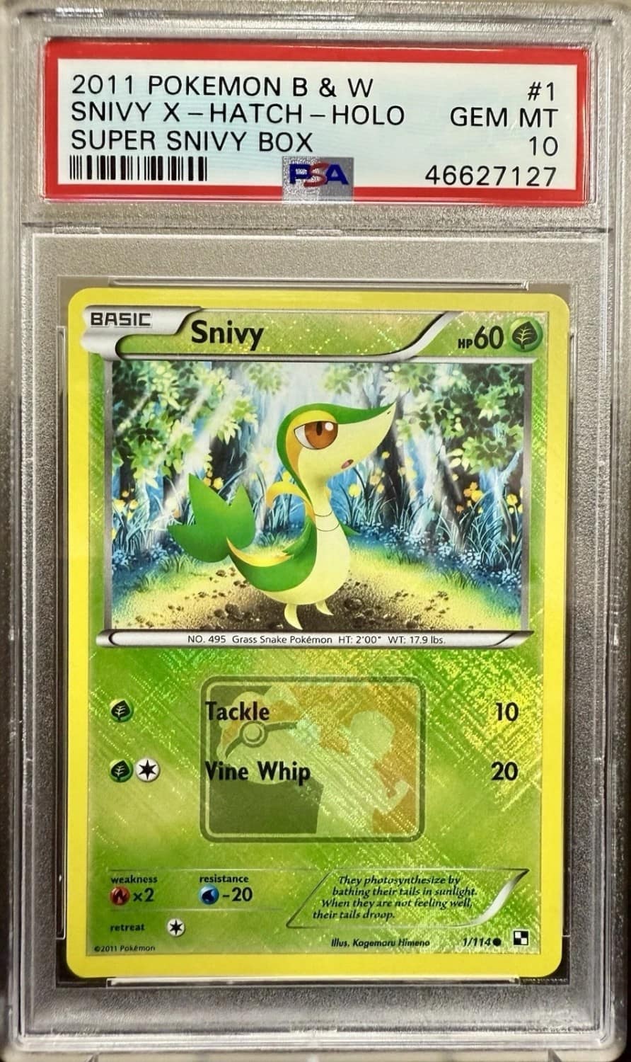 Snivy