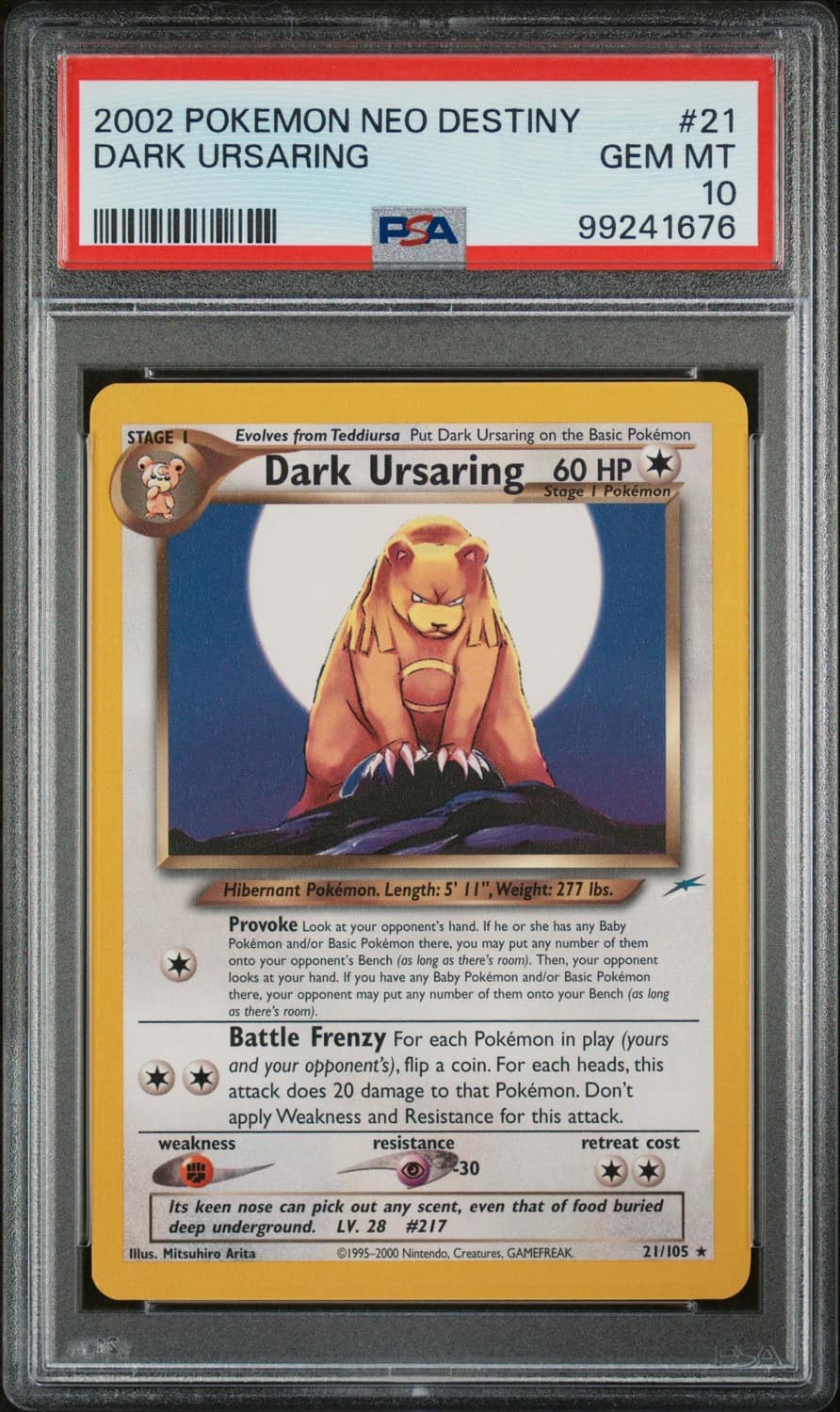 Dark Ursaring