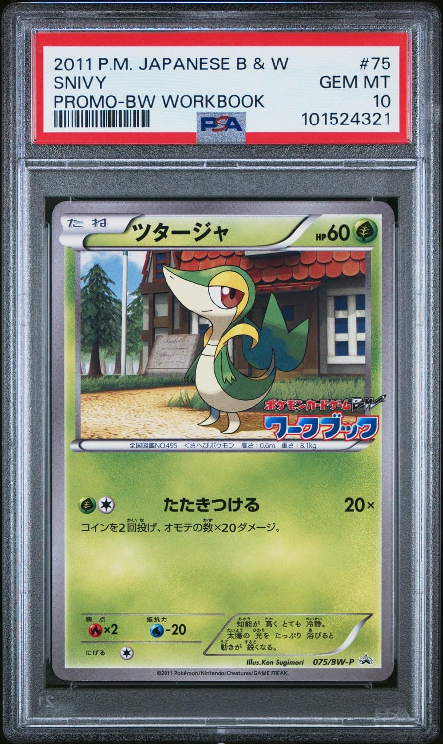 Snivy