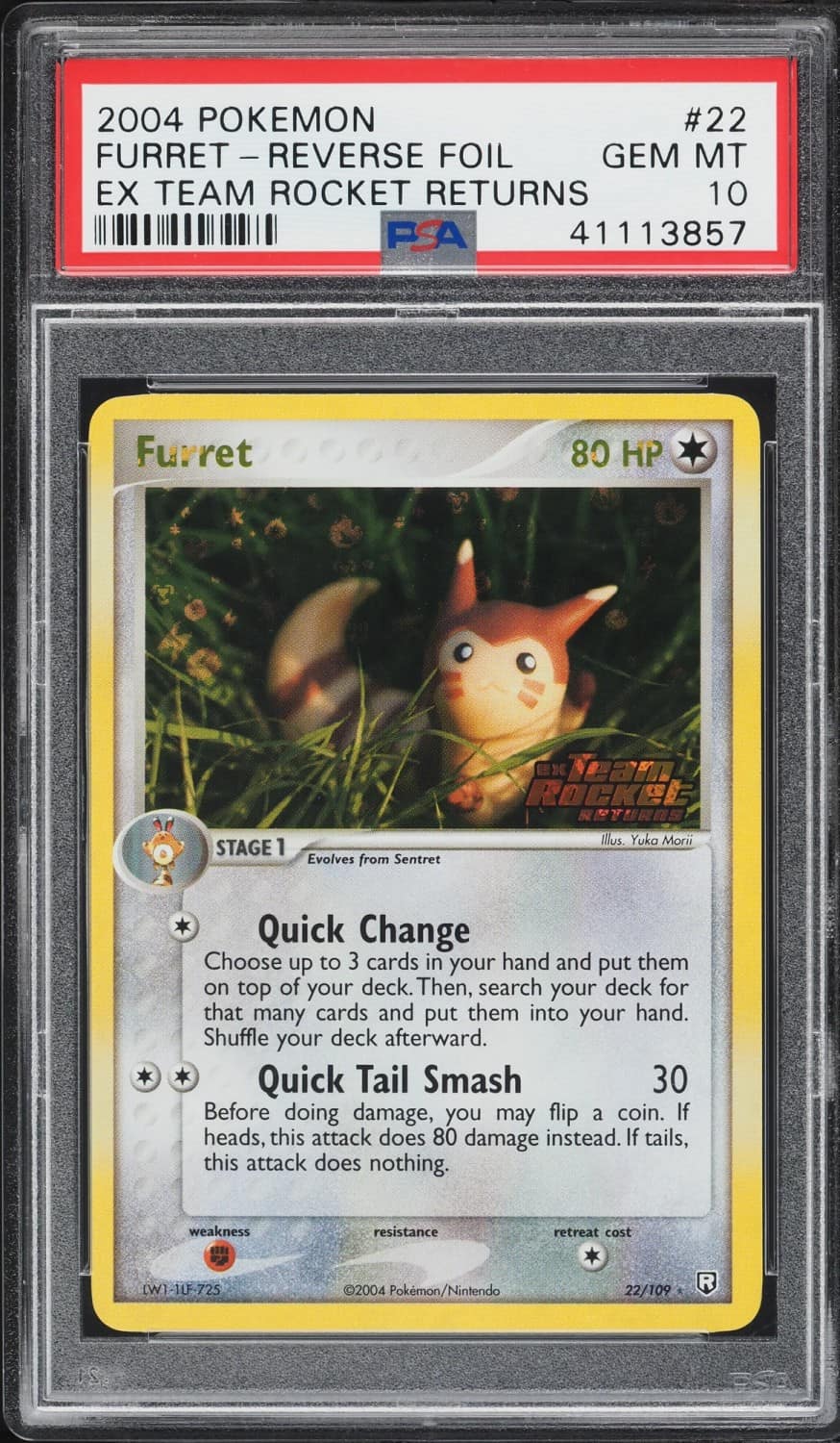 Furret