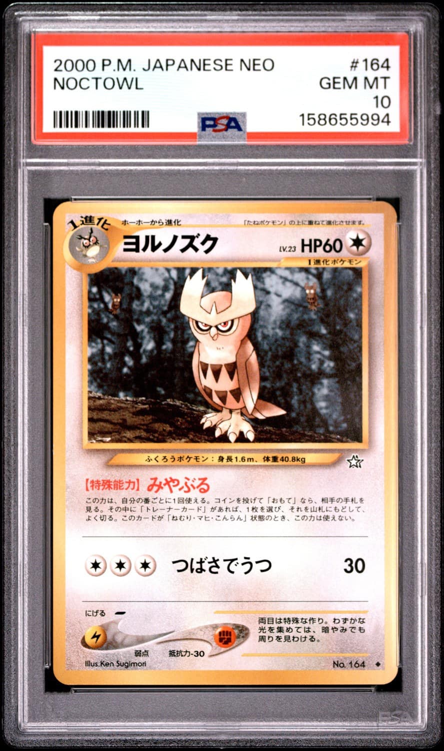 Noctowl