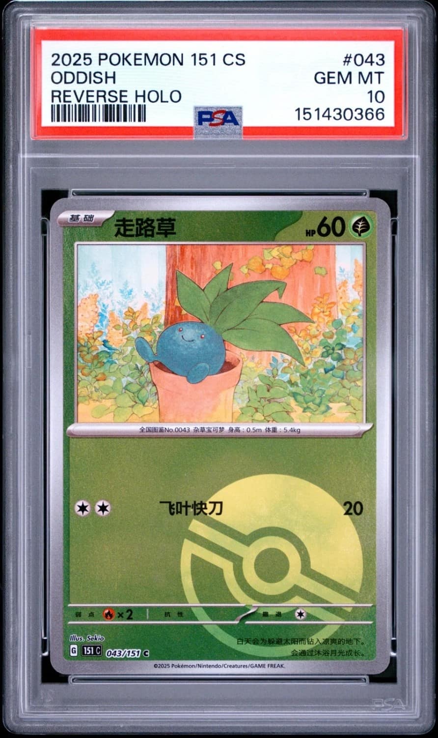 Oddish