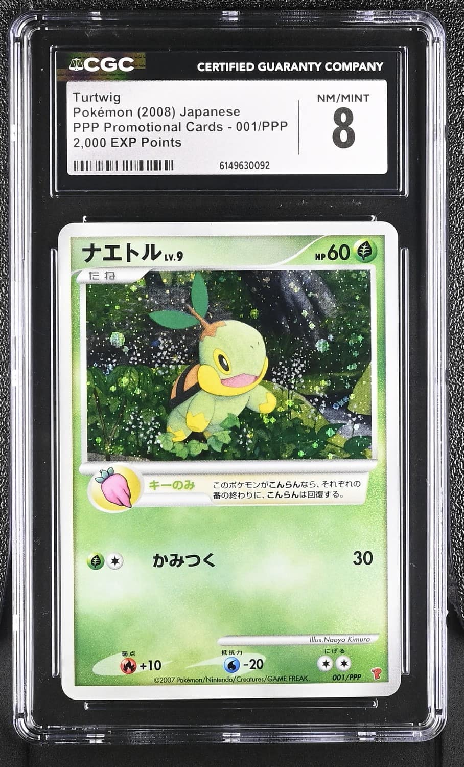 Turtwig