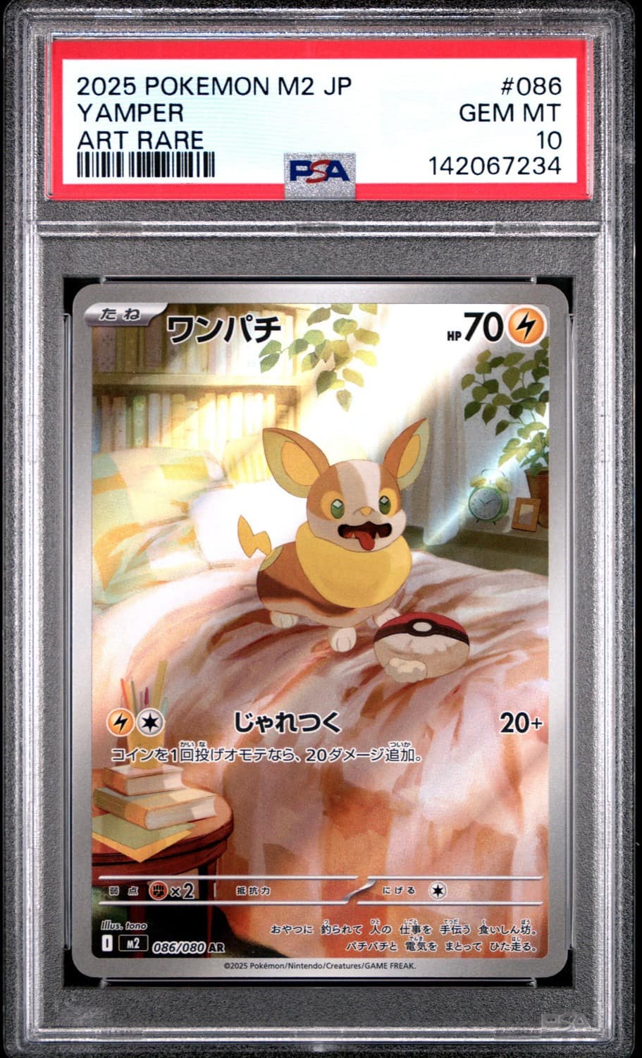 Yamper