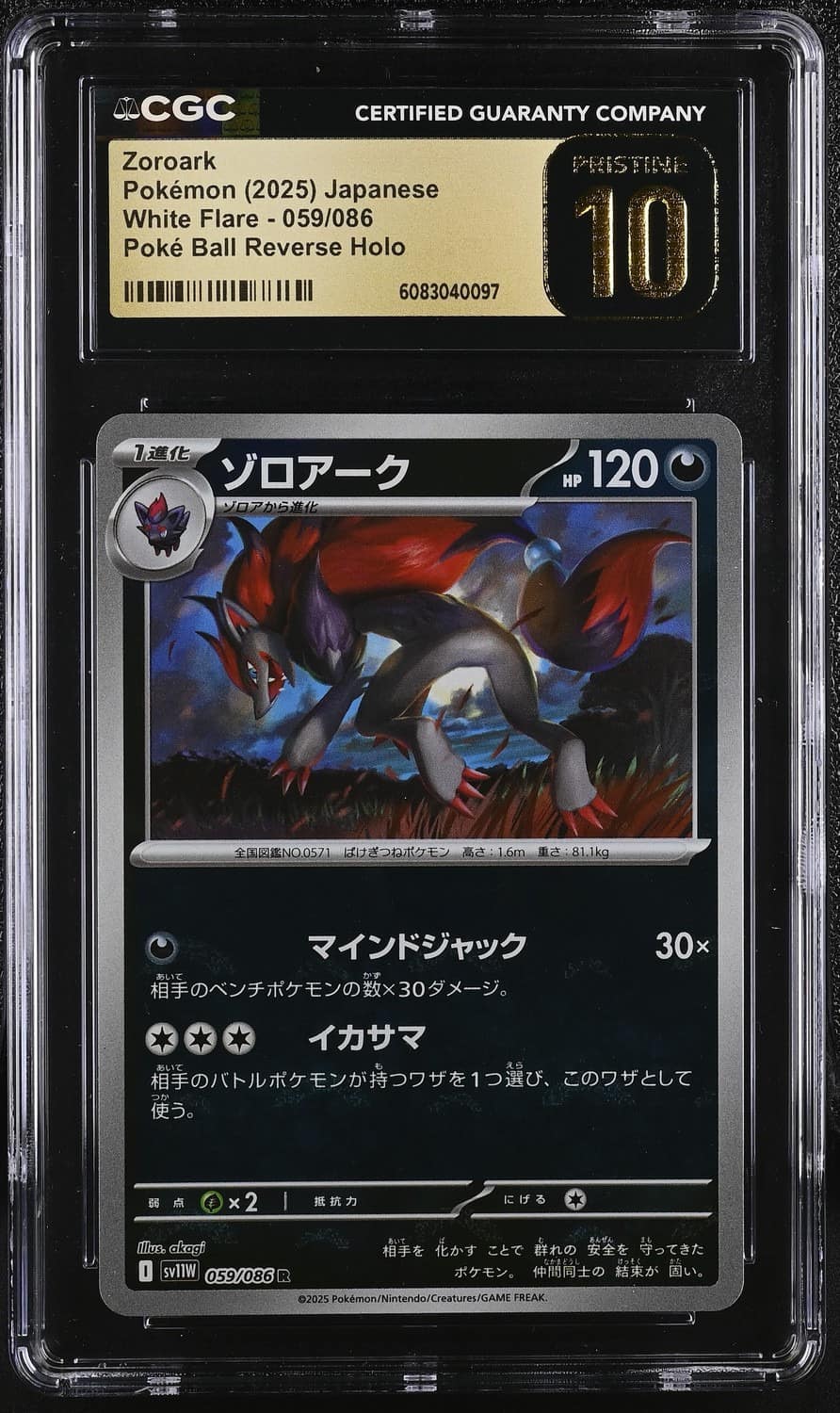 Zoroark